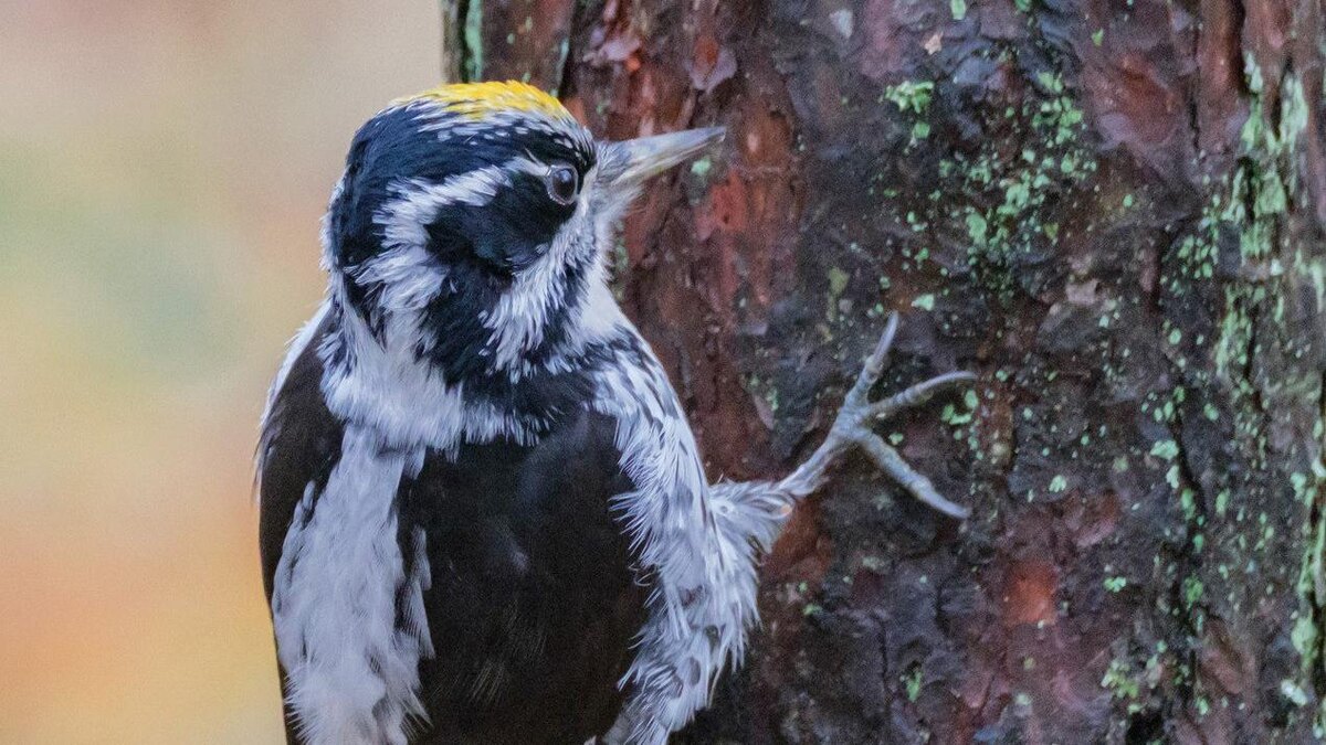    Фото: Алёна Бобрович