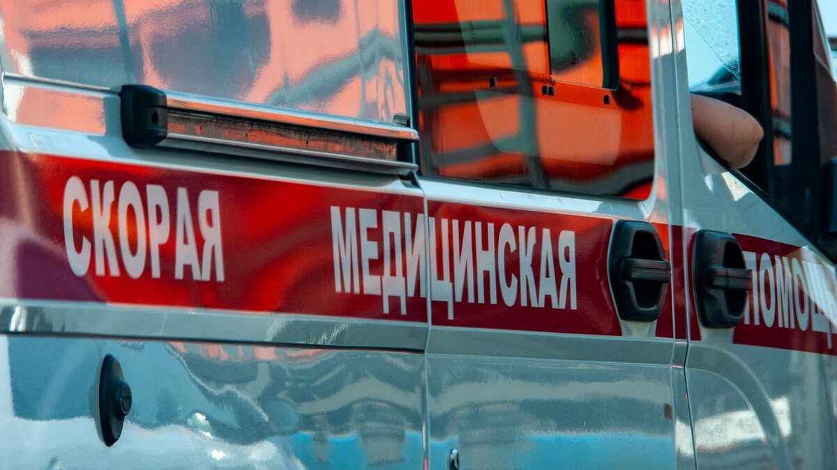    Фото: Svetlana Vozmilova/globallookpress.com