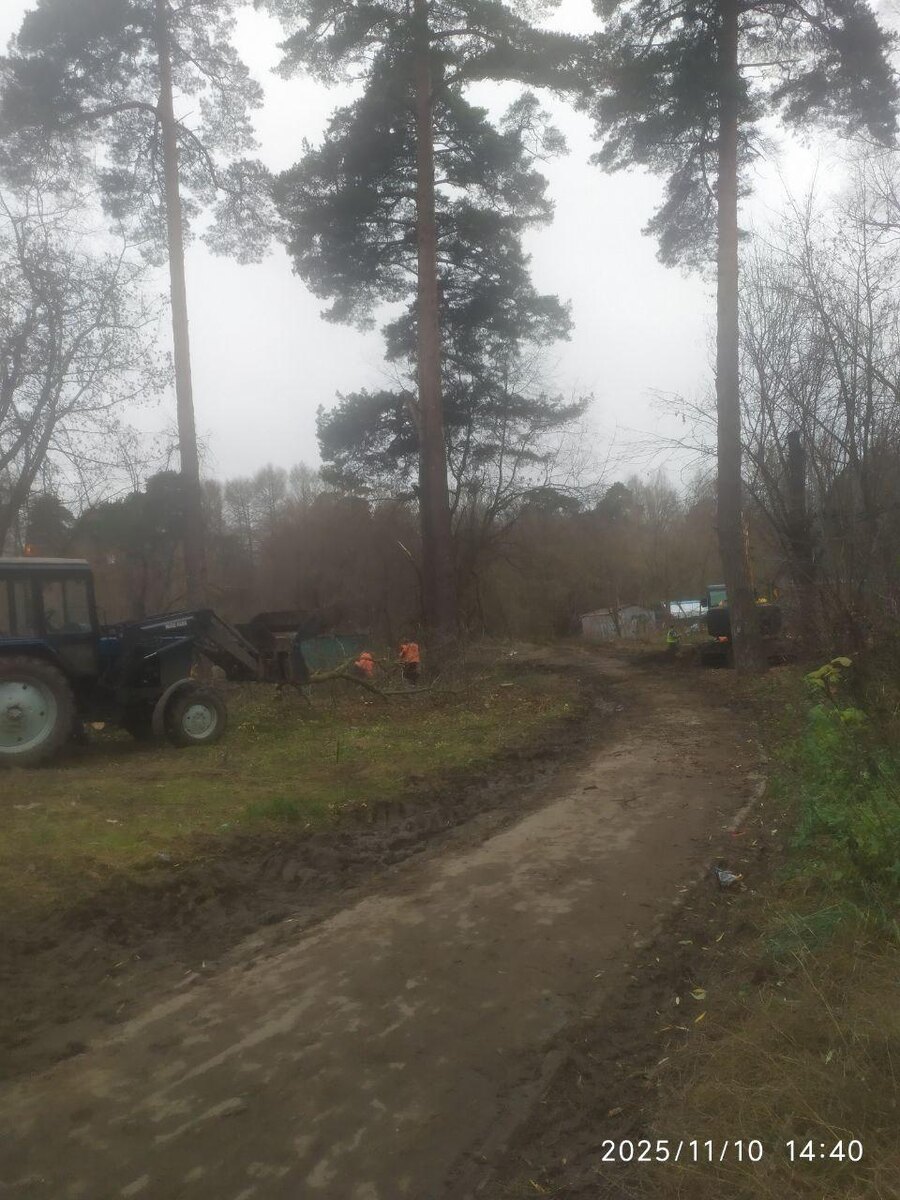 📸 t.me/korolevlosi