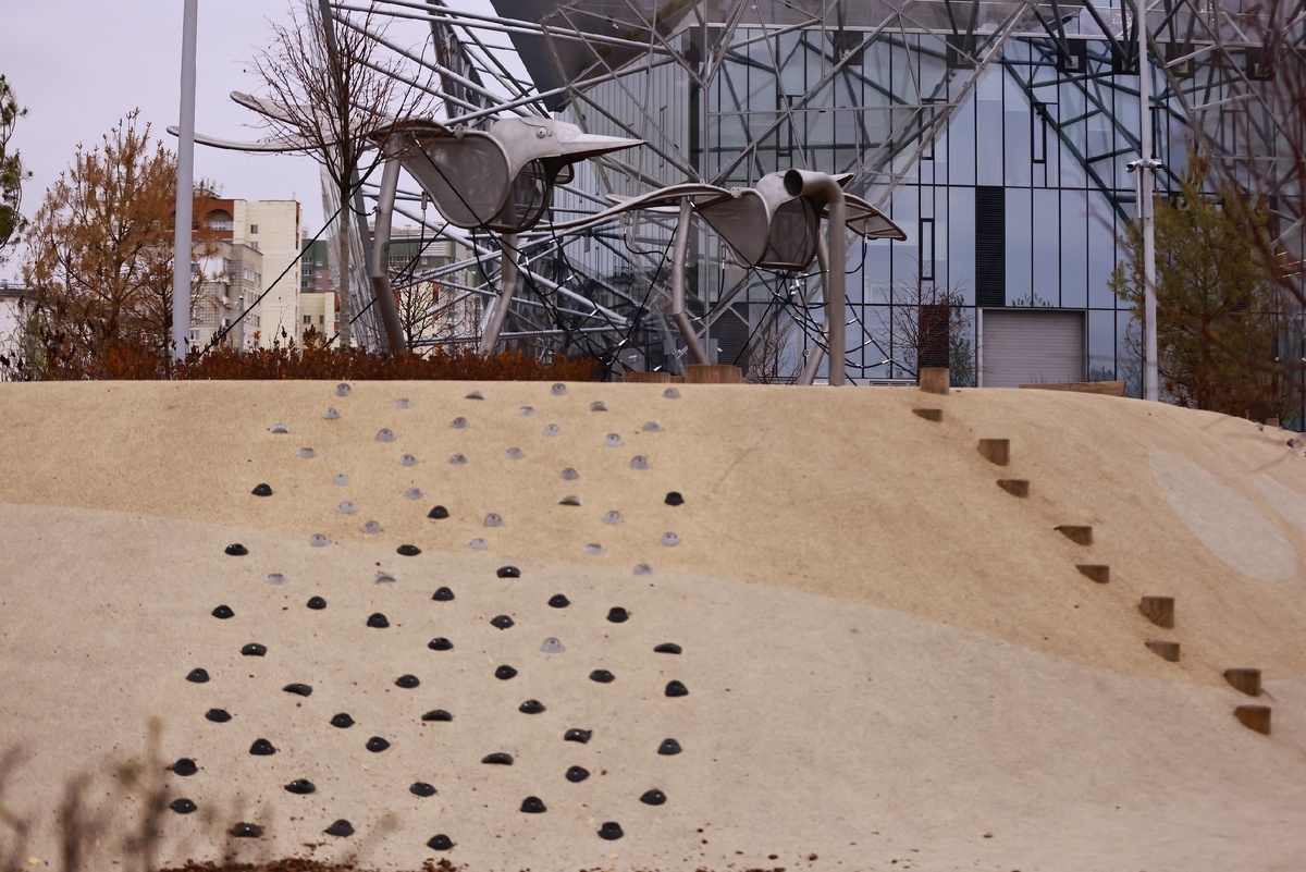    Павел Хацаюк / ИД «Вечерняя Казань»