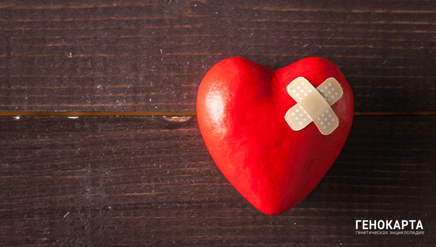 Ahmet Misirligul // shutterstock.com