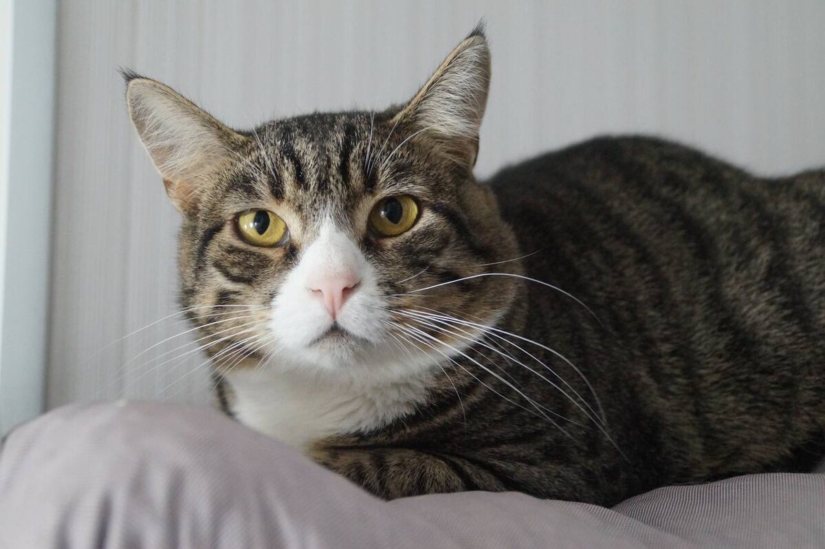 Прямо вот про меня написала??