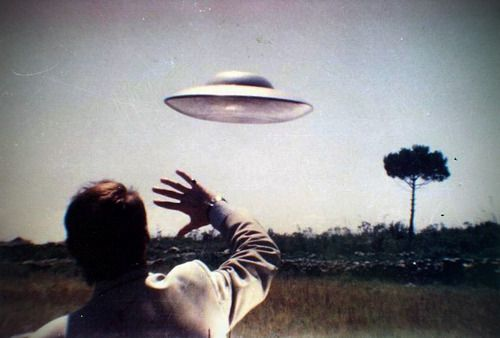 Яндекс картинки