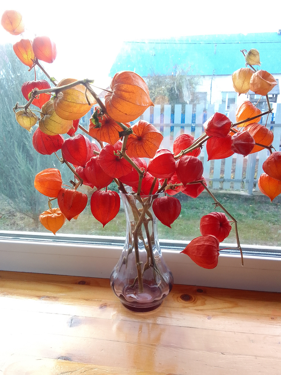 Осенний букет