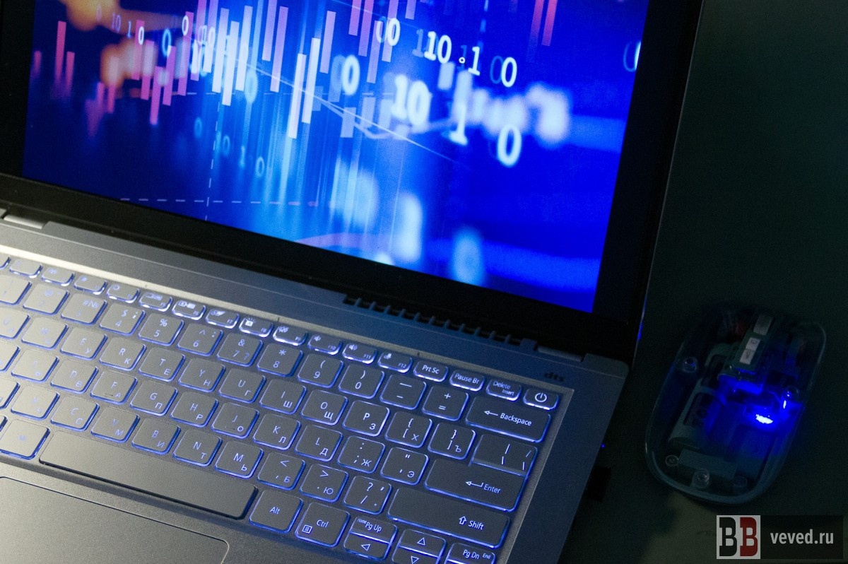     Фото: Андрей Гоголев / Вечерние Ведомости