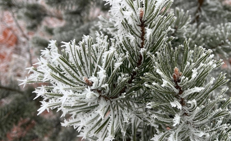    Фото: ГТРК Карелия