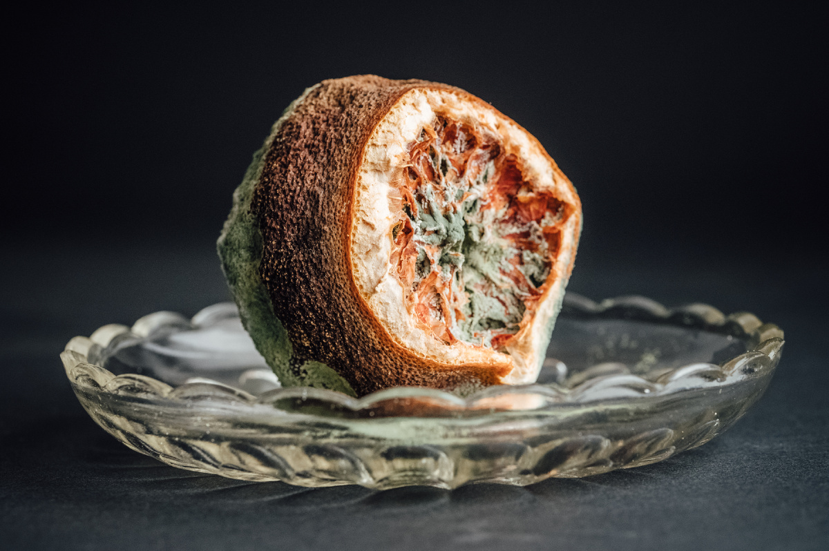 Фото: Ivan Radic