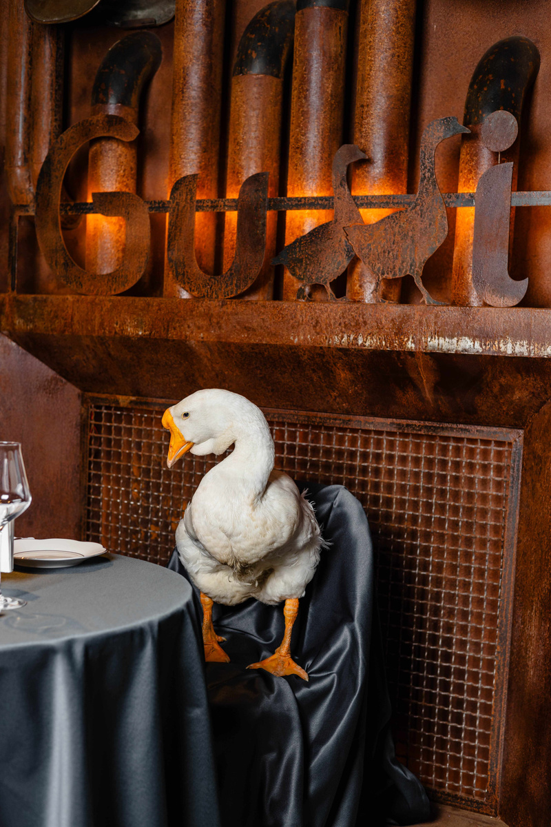 Ресторан Gussi, ул. Бестужева, 1/1, Адлер