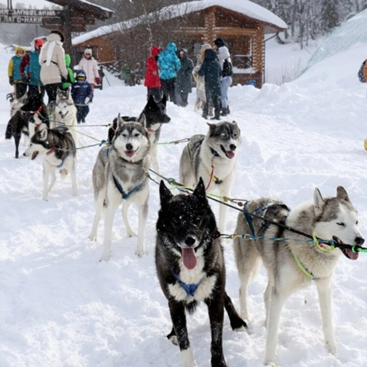 Отдых на плато Лаго-Наки в Адыгее📷
