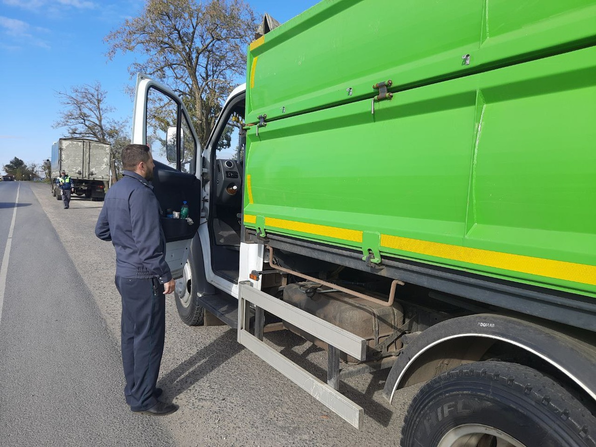 Фото: пресс-служба Азово-Черноморского межрегионального управления Россельхознадзора по Херсонской области