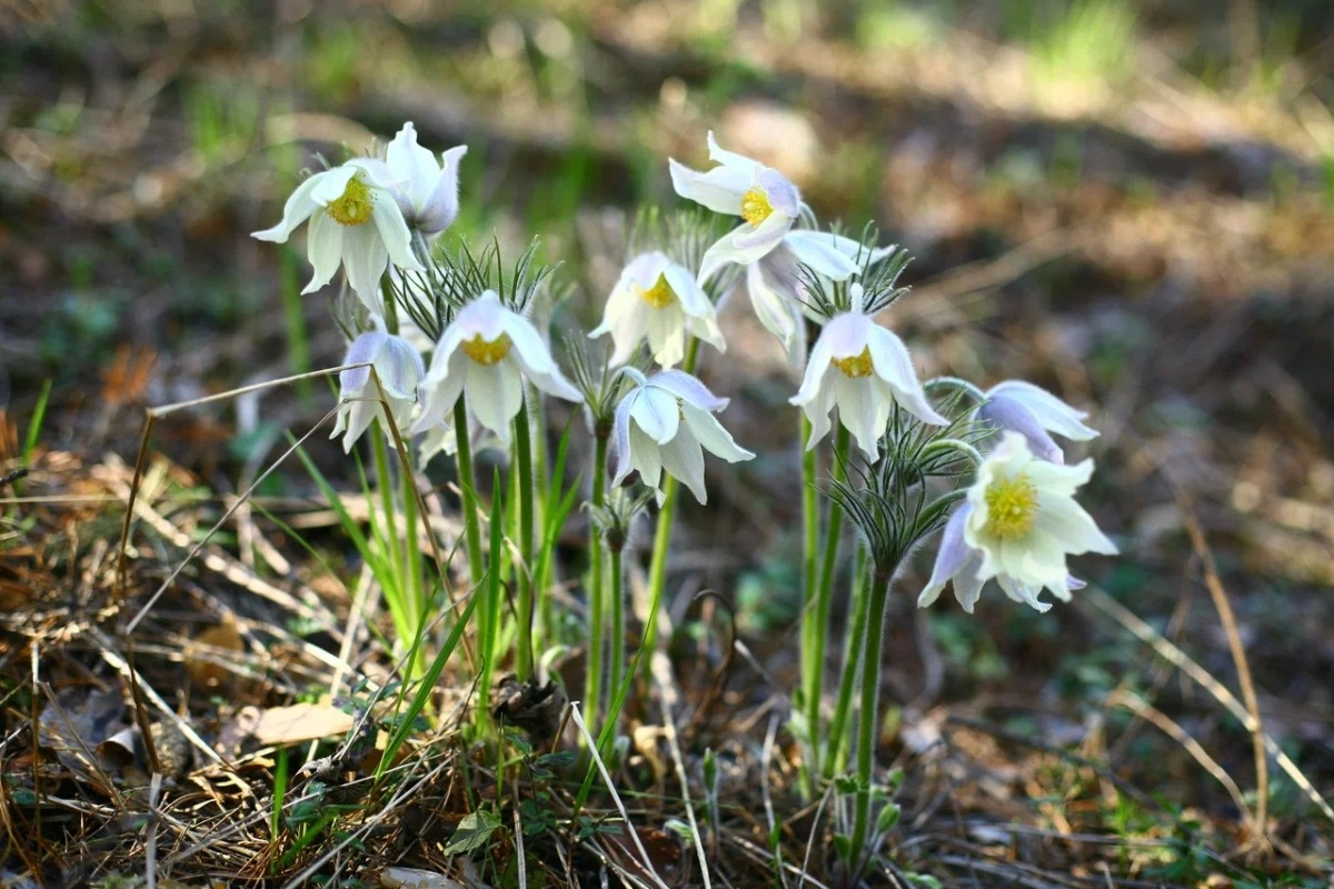    Фото: Анастасия Сибирякова