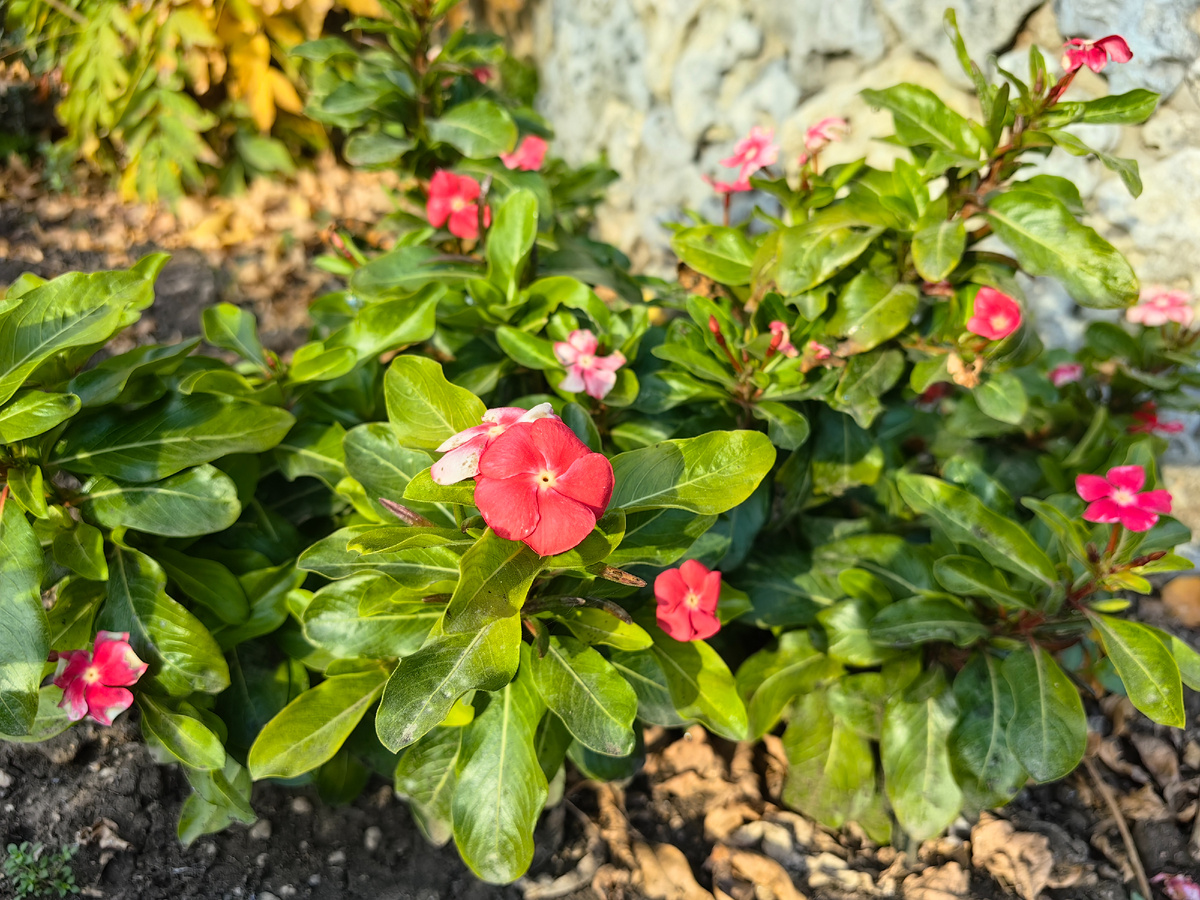 Сегодня. Фото автора канала