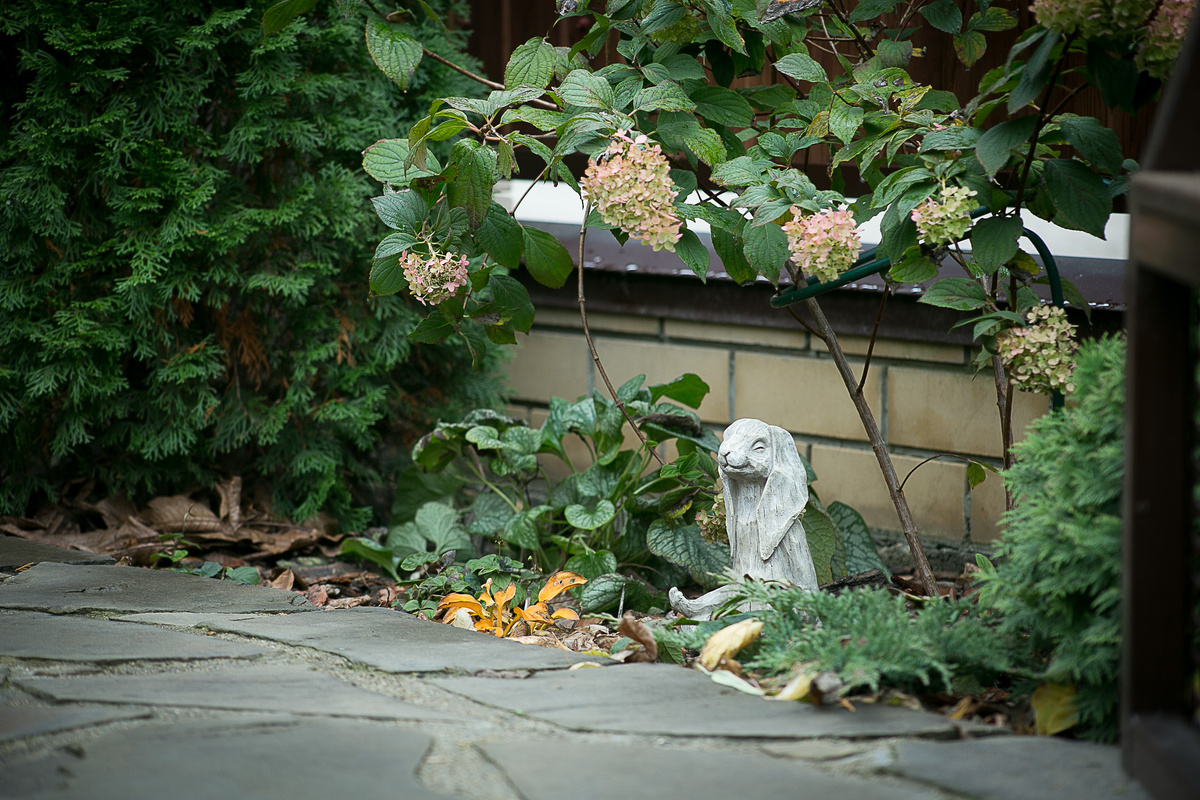 Автор фото Елена Якимова / Greenfingers