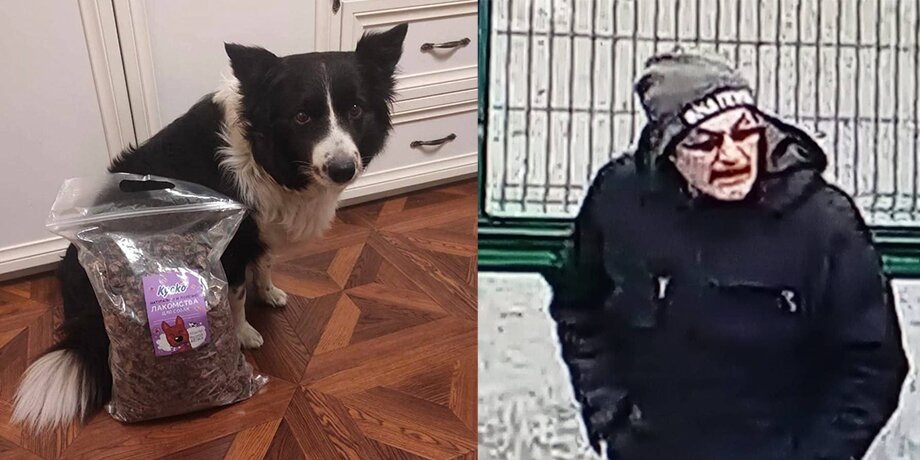    Фото: телеграм-канал "Поиски Симы"