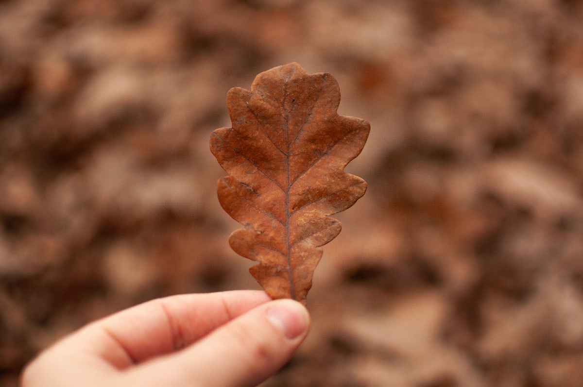 Личное фото