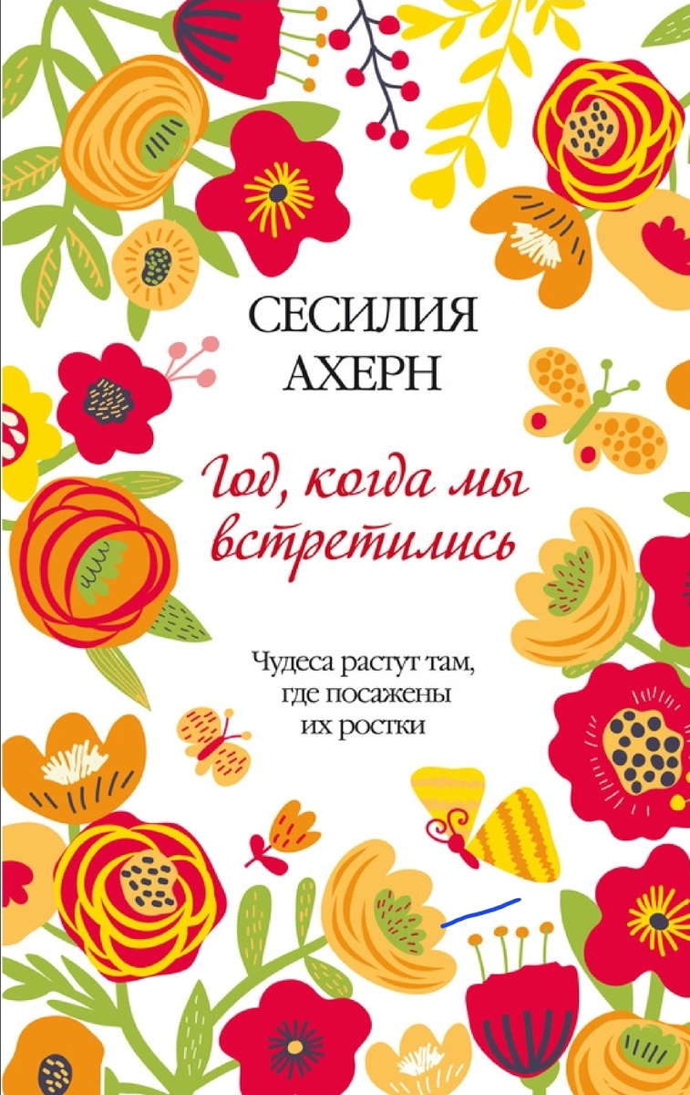 Год, когда мы встретились.  Обложка книги