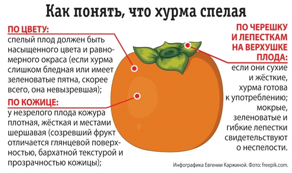    Фото: АиФ/ Евгения Каржина