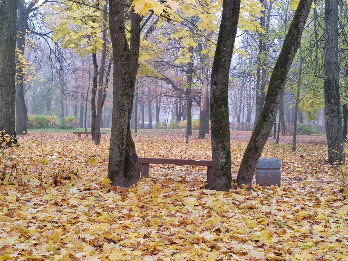 Листопада в октябре