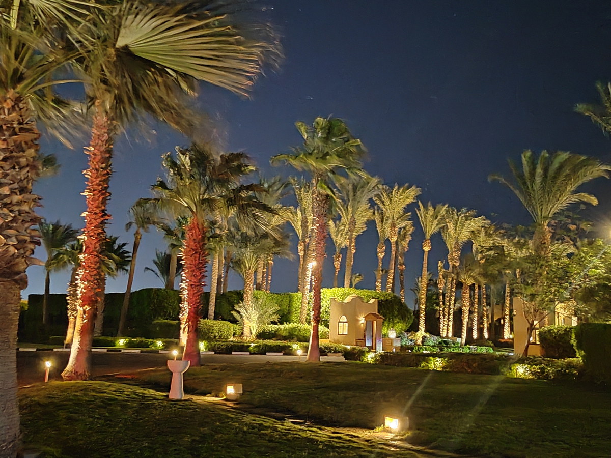 Пальмовая аллея