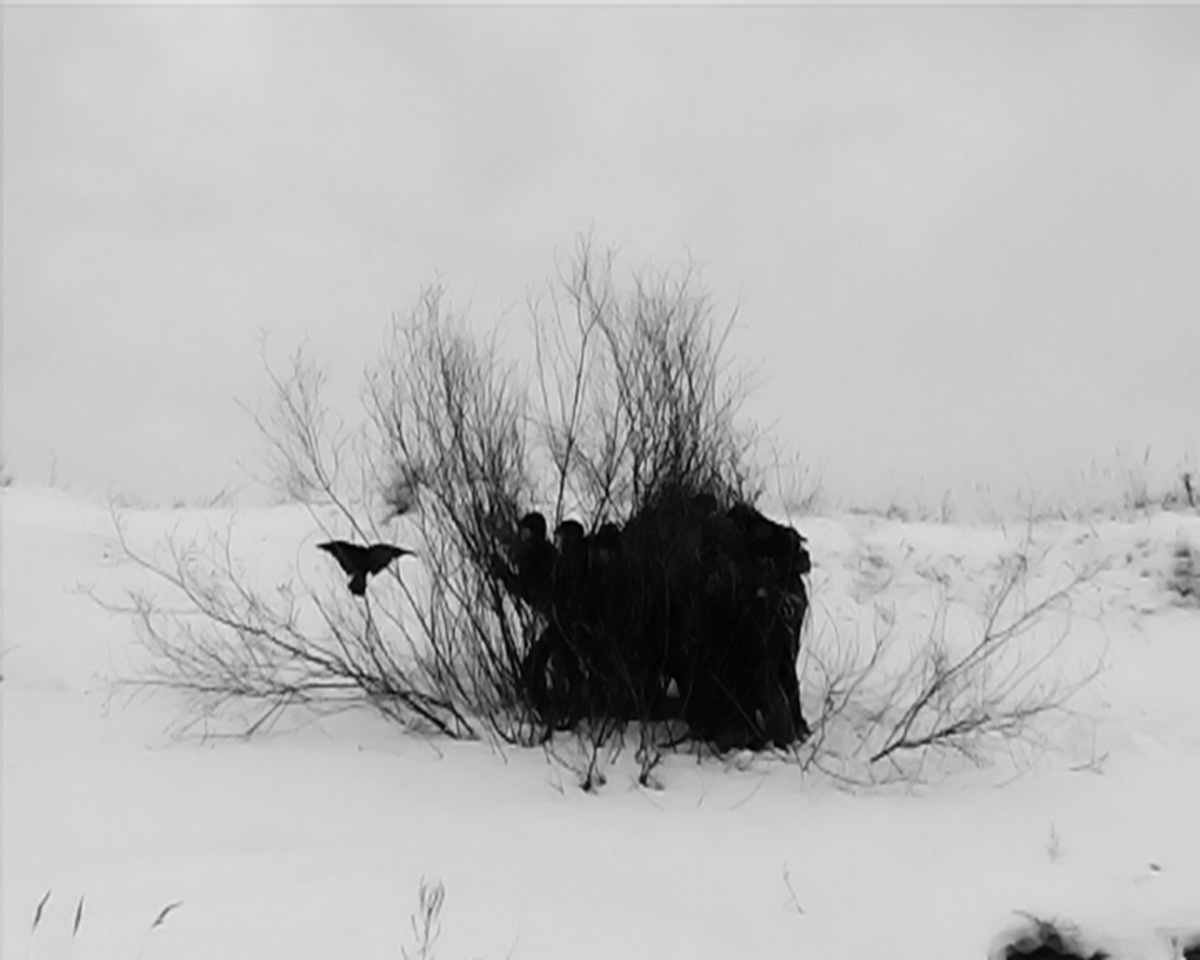   Провмыза (группа основана в 1998 г.: Галина Мызникова, Сергей Проворов) Отчаяние, 2008 
Предоставлено художниками и галереей MYTH