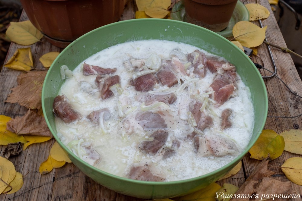 Магия начинается