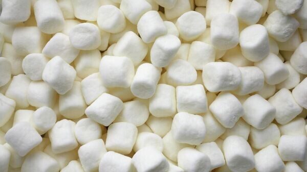    © Getty Images / tacojim