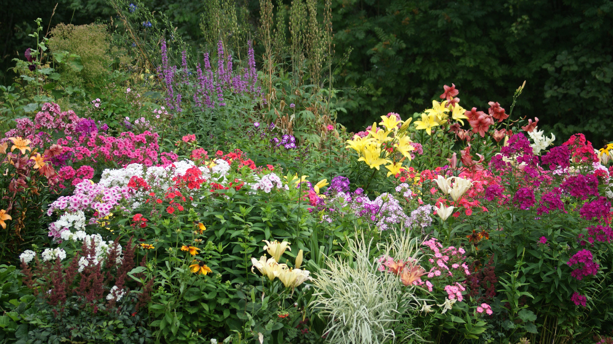 1. Коралловые рифы