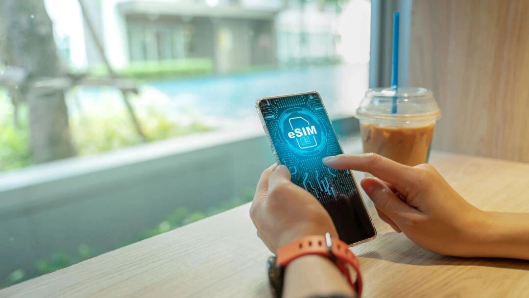    Фото: Fit Ztudio/Shutterstock/Fotodom