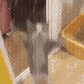 Добьём 20 под