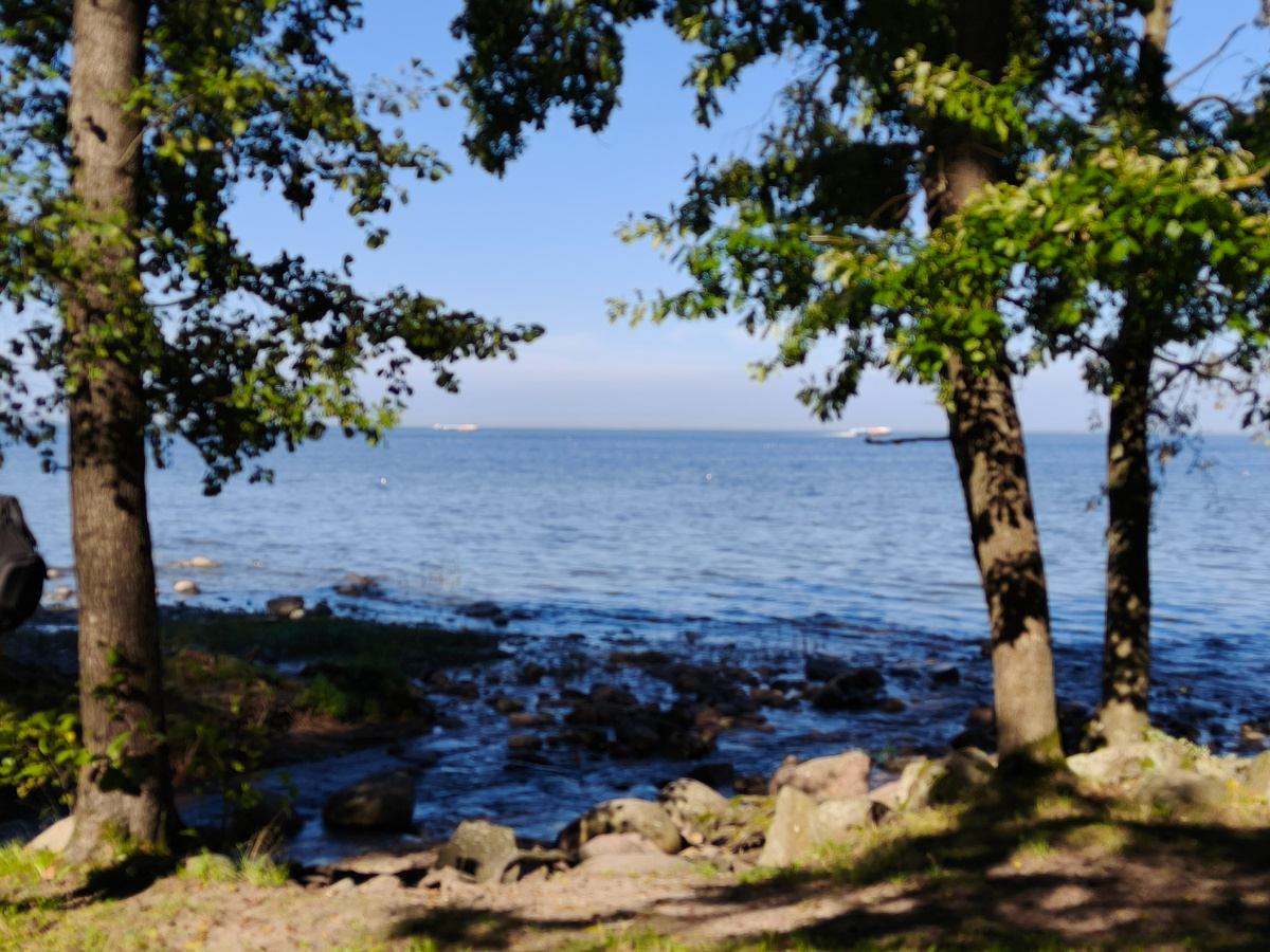 Финский залив с набережной Петергофа. 8 сентября 2025 года.