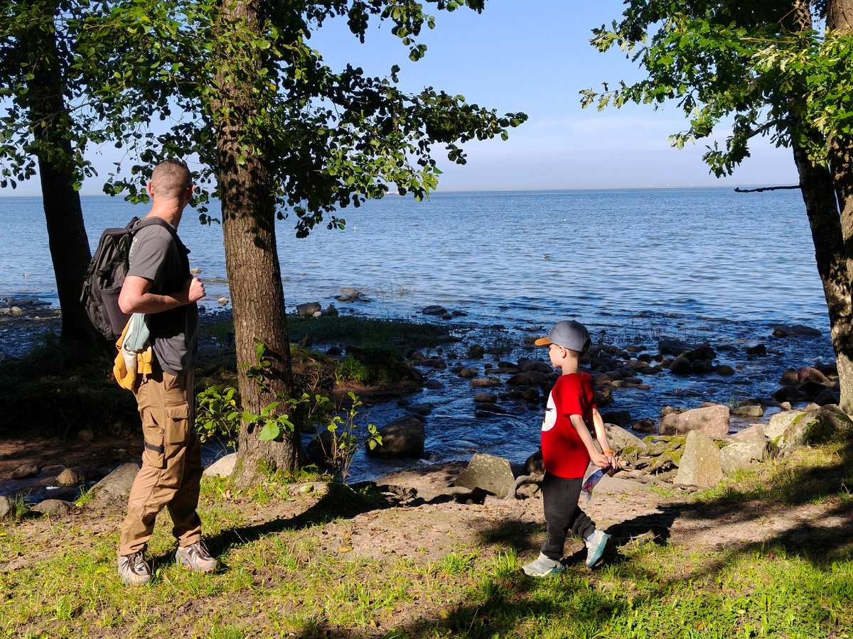 8 сентября 2025 года.