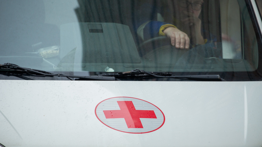    Фото: ИЗВЕСТИЯ/Телеканал «78»