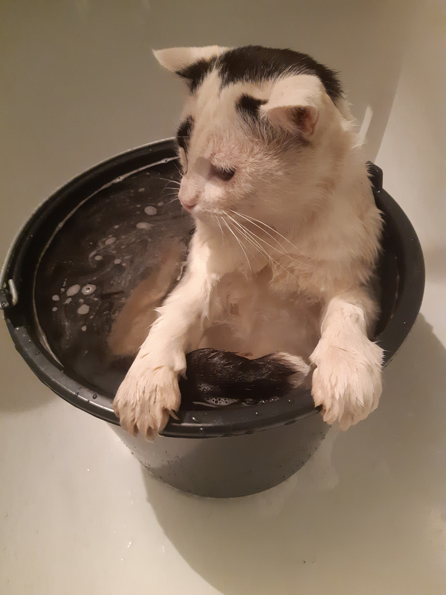 Жестокие нравы, сударь, в нашем городе, жестокие.Это я вам, как шахтёр говорю.