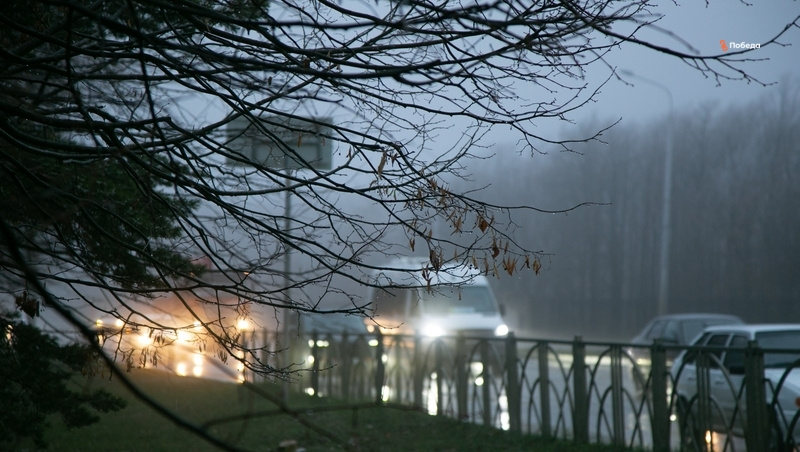      Фото: Валерия Алтухова / / ИА «Победа26»