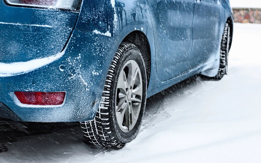 Фото: Natallia Ploskaya / Shutterstock / FOTODOM