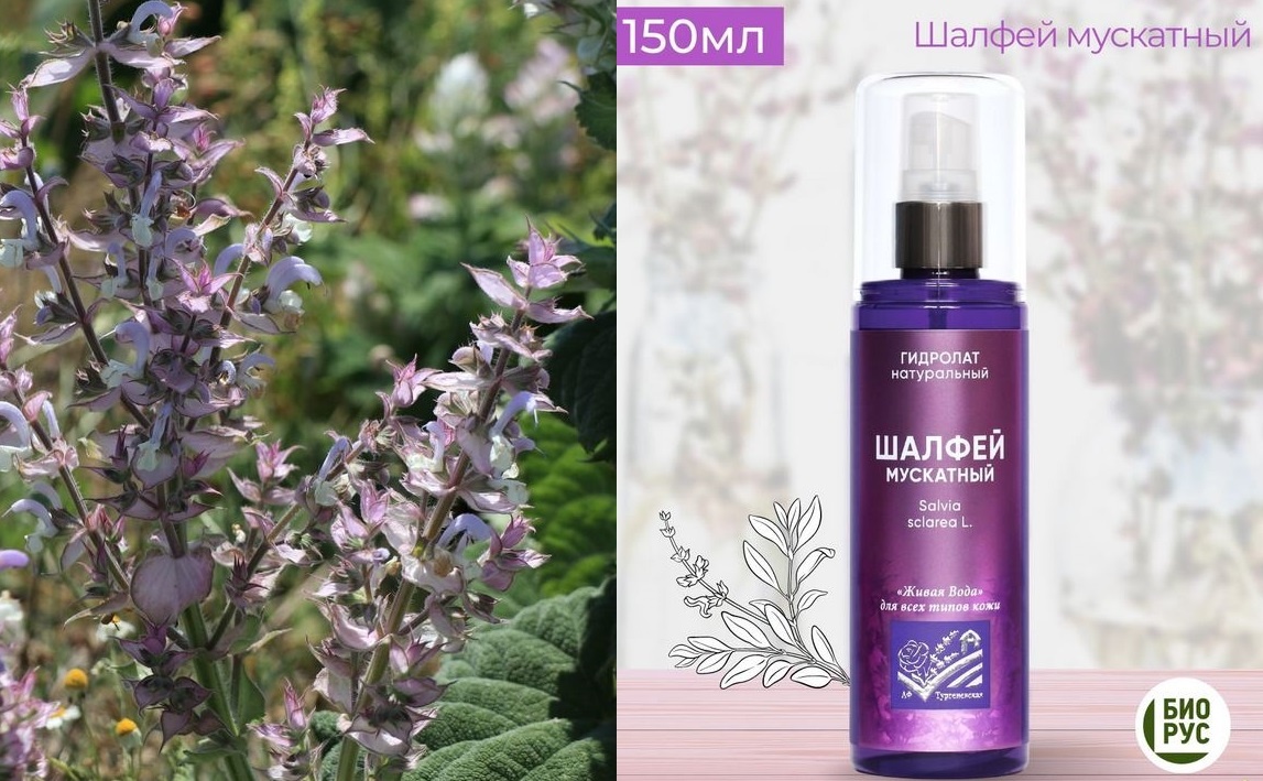 Гидролат Шалфей мускатный АФ "Тургеневская" https://сольздоровья.рф/shop/gidrolaty-af-turgenevskaya/shalfej-muskatnyj/