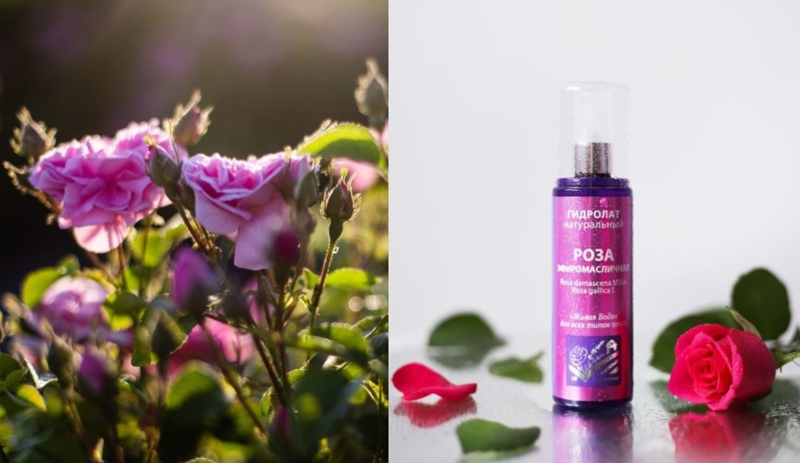 Гидролат Шалфей мускатный АФ "Тургеневская" https://сольздоровья.рф/shop/gidrolaty-af-turgenevskaya/roza-efiromaslichnaya/