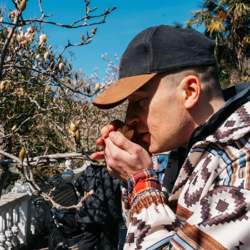 Лесотерапевты организуют осознанные прогулки на природе