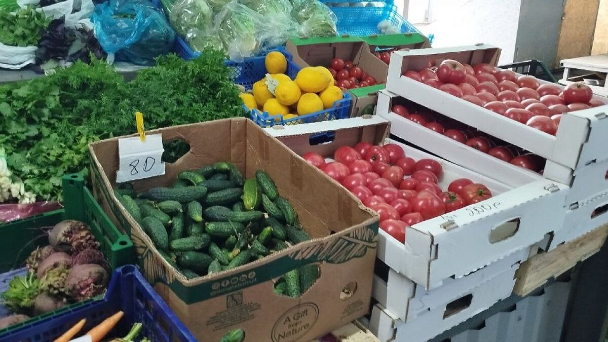    Фото: телеканал «Краснодар»