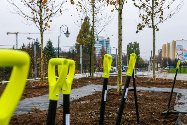   Фото из архива Калининград.Ru