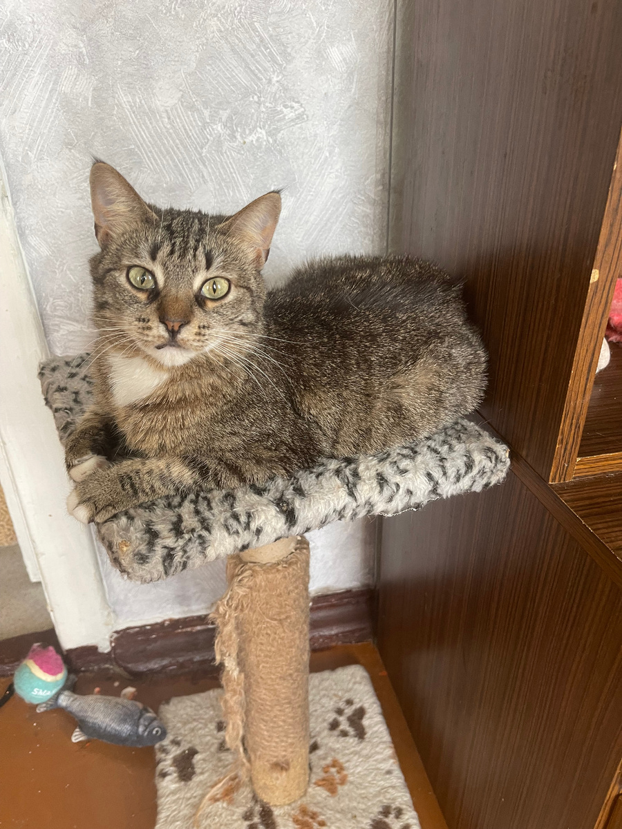 Ничего не помню, не было никаких "До"