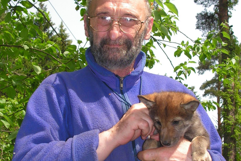 Ясон Бадридзе с волчёнком