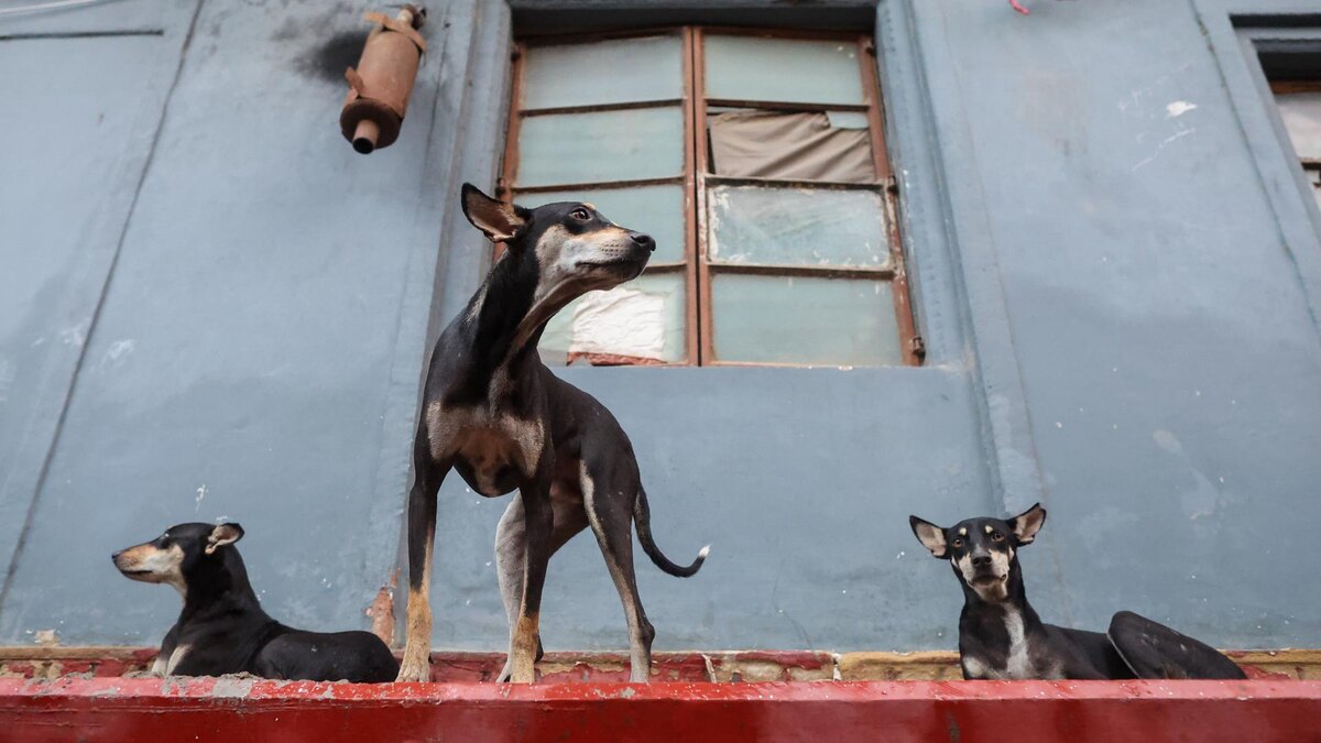    Фото: Belkin Aleksey/news.ru