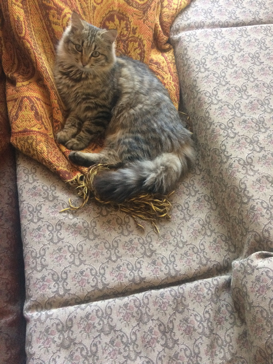 Кузя задумалась, с кем спать ложиться, - С мамой, с бабушкой, или остаться на диване в гордом одиночестве?