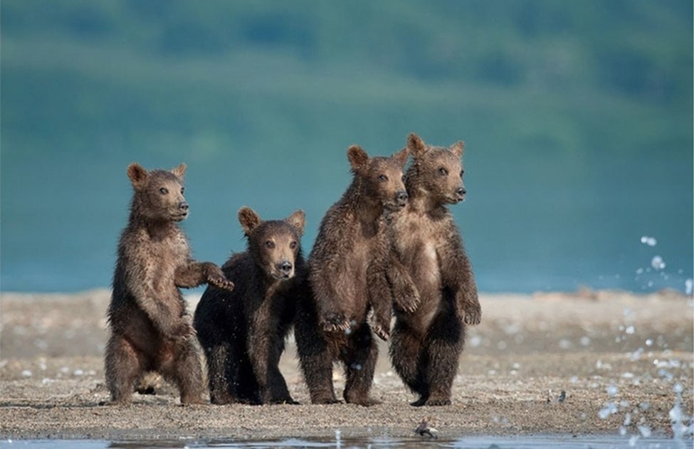 Фотограф Сергей Иванов. Озеро Курильское