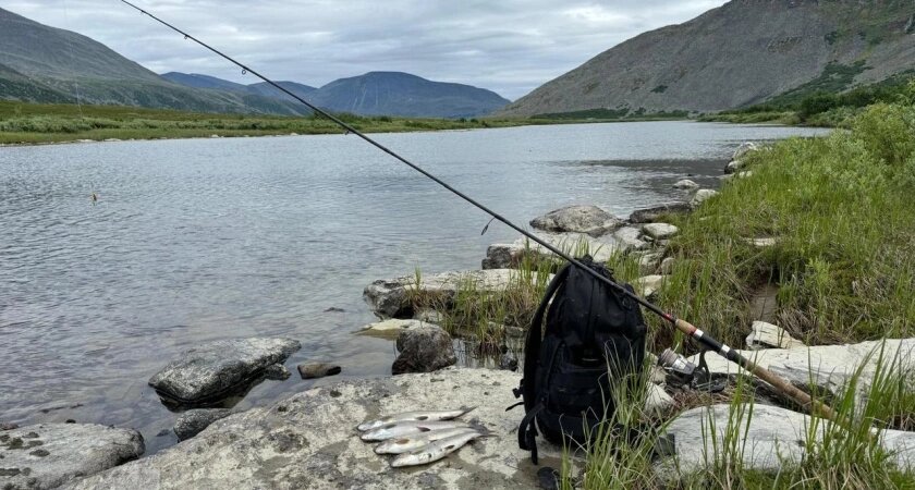    Не хлеб и не манка: самая уловистая приманка для ноябрьской рыбалки