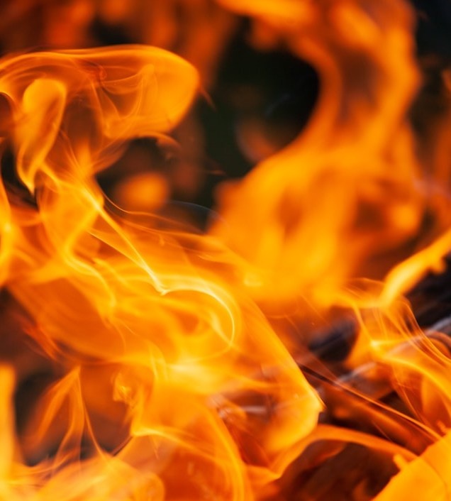 Photo by Maxim Tajer on Unsplash