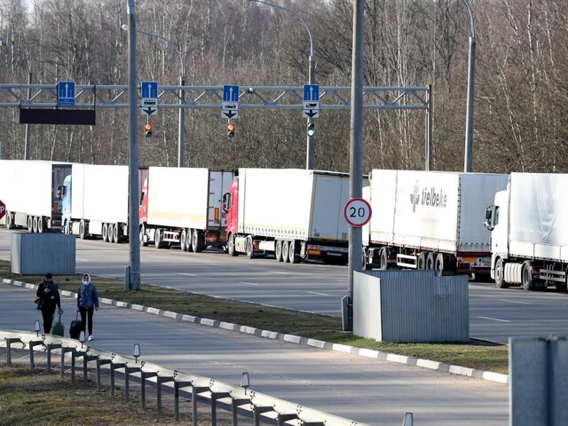    Фото: ТАСС/Наталия Федосенко