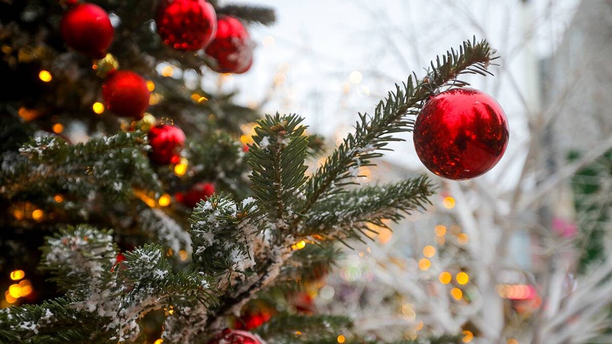    Фото: Артур Новосильцев / АГН Москва