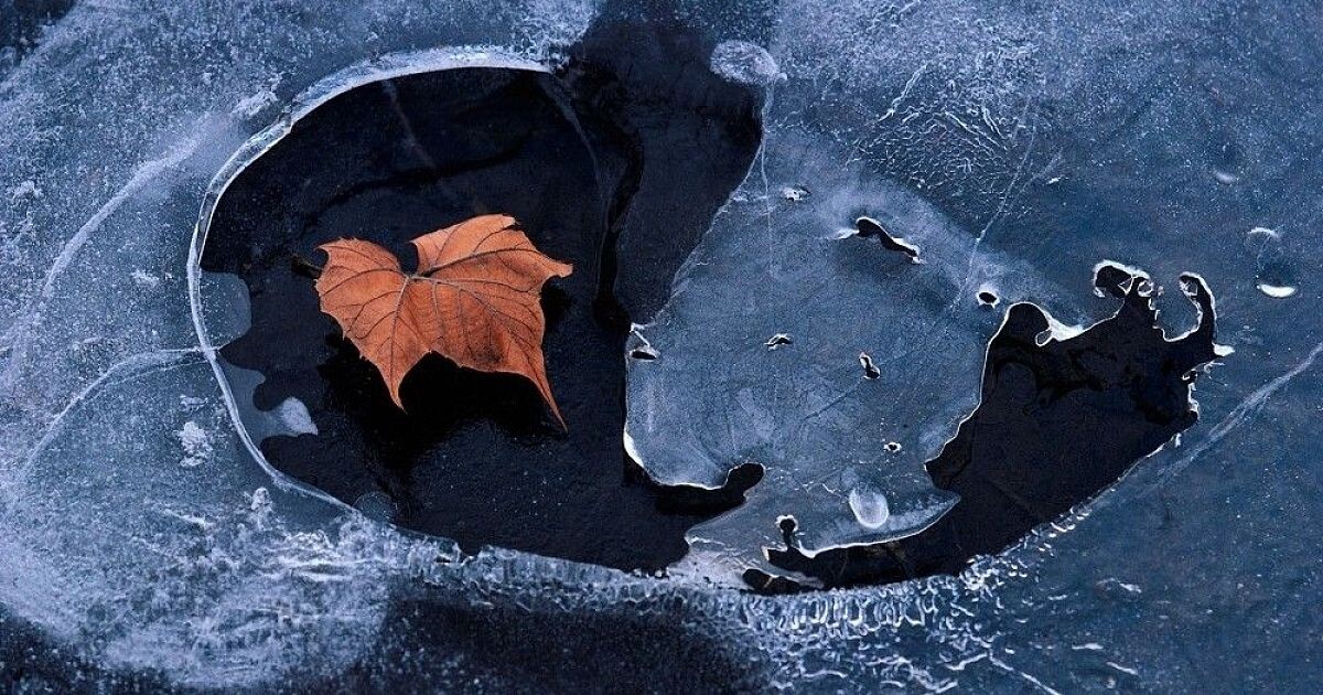 Изображение из открытых источников